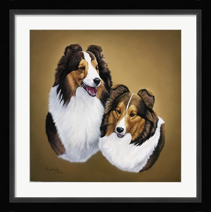 Framed Collies 2 Print