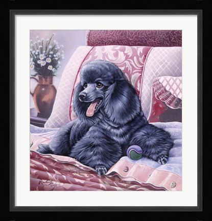 Framed Black Poodle Print