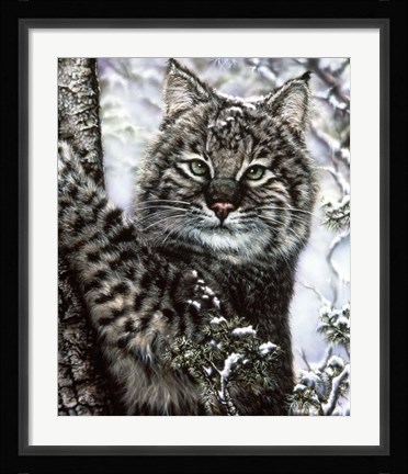 Framed Alluring Eyes Print