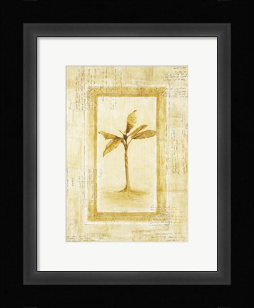 Framed Palm 2 Print