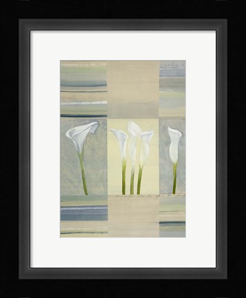 Framed Calla Lily Dance II Print
