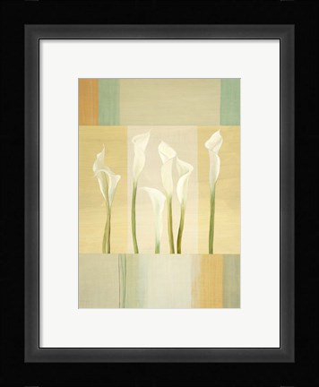 Framed Calla Lily Dance I Print