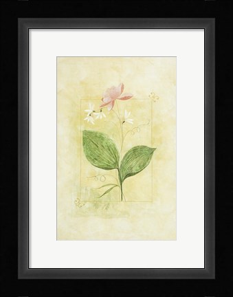 Framed Pink Bloom 1 Print
