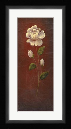 Framed Blush 2 Print