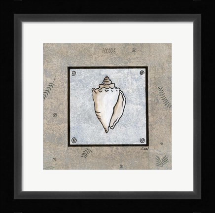 Framed Sea Shell on Blue II Print