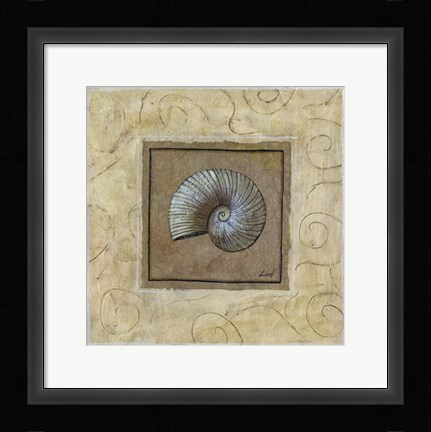Framed Sea Shell II Print