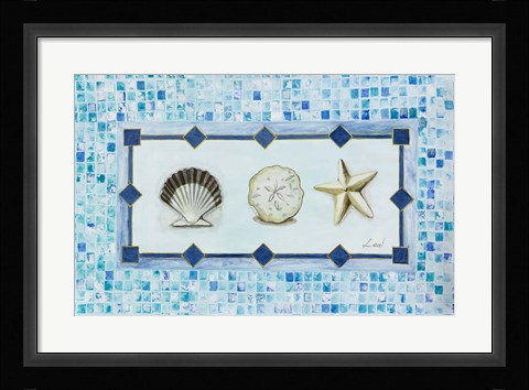 Framed Sea Shell Trio Print