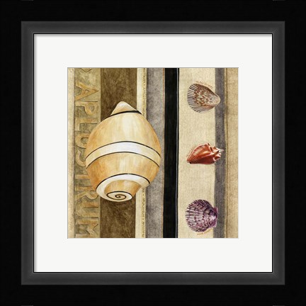 Framed Shell Collage I Print