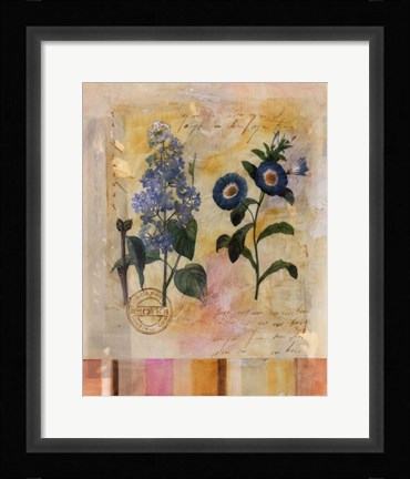 Framed Floral Postcard II Print