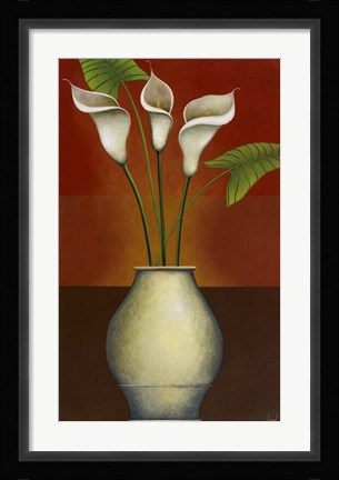 Framed Calla Lily Display II Print