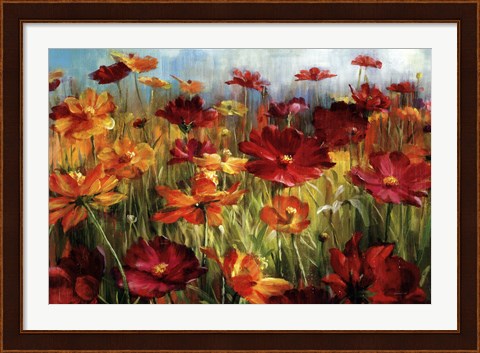 Framed Cosmos In The Field Print