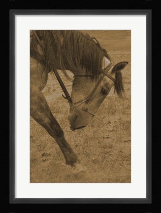 Framed Movement Print