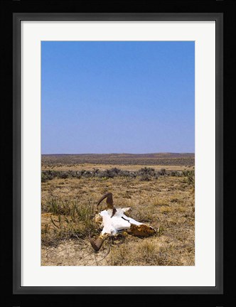 Framed Way Out West Print