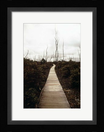 Framed Devastation Trail Print