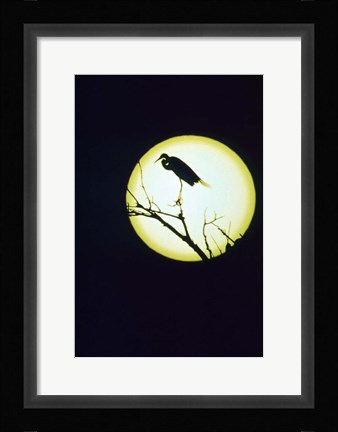 Framed Egret Silhouette Print