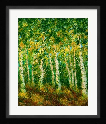 Framed Birch Trees Print