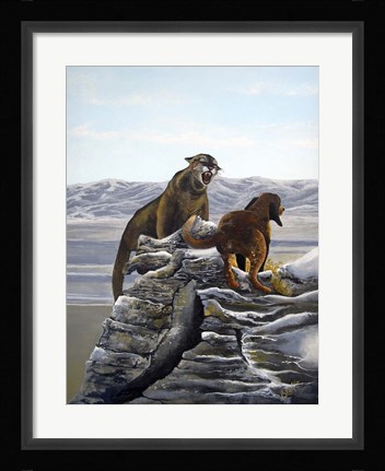 Framed Cougar and Tink Print