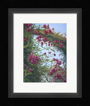Framed Rose Burst Print