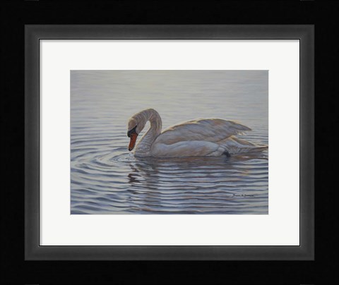 Framed Dribbling Swan Print