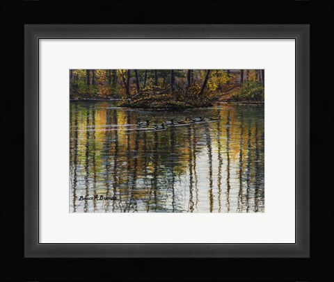Framed Autumn Mallards 1 Print