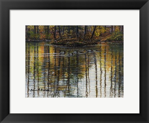 Framed Autumn Mallards 1 Print
