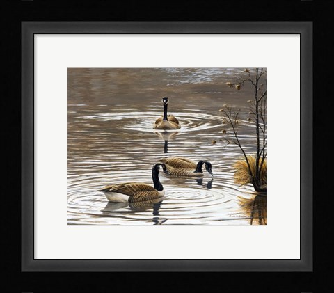 Framed North Carolina Geese Print