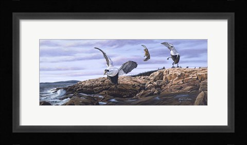 Framed Acadia Visitors Print