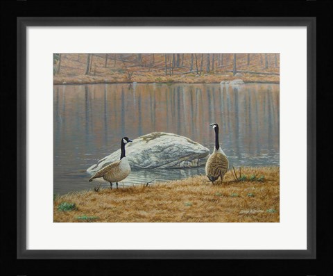 Framed South Carolina Geese Print
