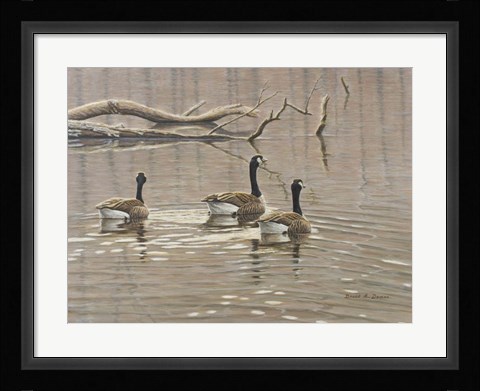 Framed Early Spring Geese Trio Print