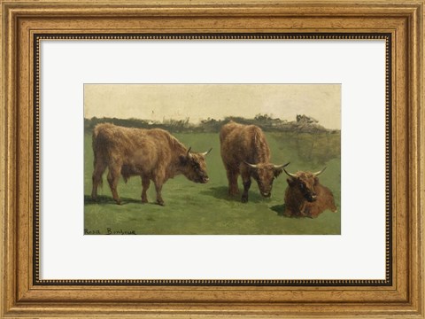 Framed Three Studies of Reddish-Haired Cows on a Meadow Print