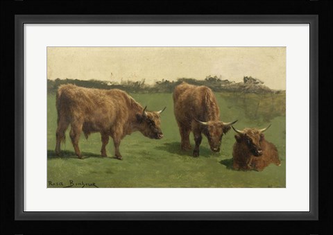 Framed Three Studies of Reddish-Haired Cows on a Meadow Print