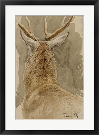 Framed Study of a Deer Print