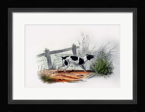 Framed Dog II Print