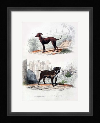 Framed Pair of Dogs II Print