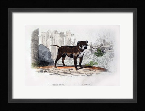 Framed Dog IV Print