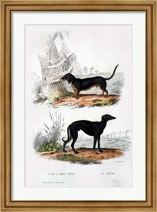 Framed Pair of Dogs III Print