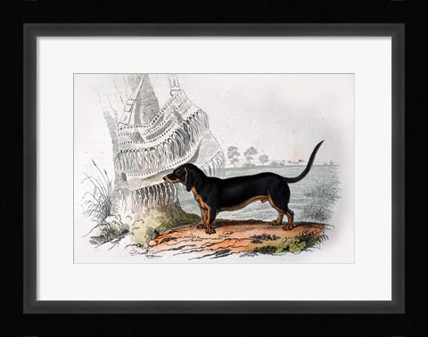 Framed Dog V Print