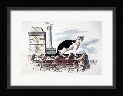 Framed Cat on Roof Top Print
