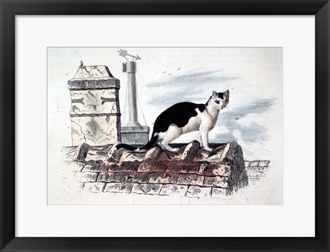 Framed Cat on Roof Top Print