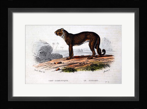 Framed Leopard I Print