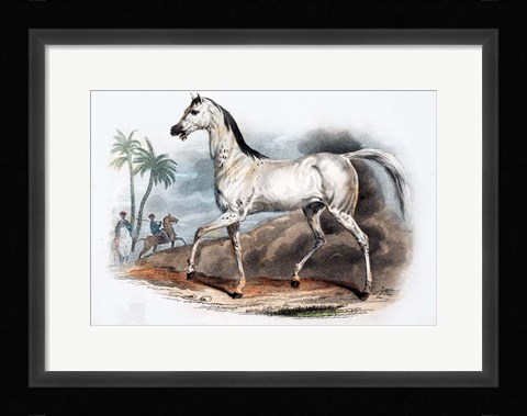 Framed Horse I Print