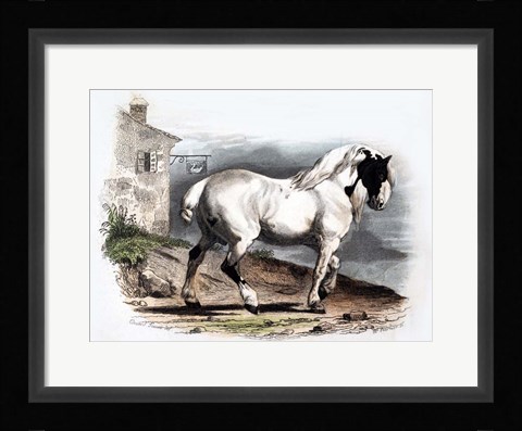 Framed Horse II Print