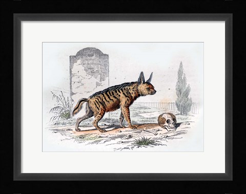 Framed Hyena I Print