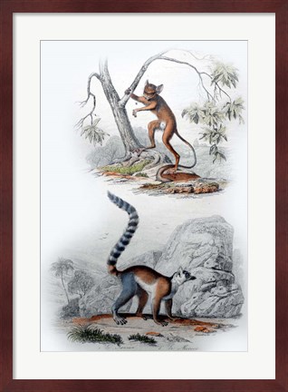 Framed Pair of Monkeys I Print