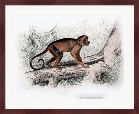 Framed Monkey X Print