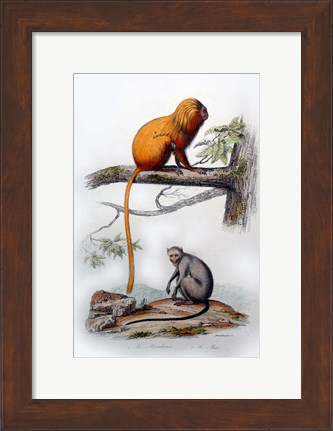 Framed Pair of Monkeys X Print