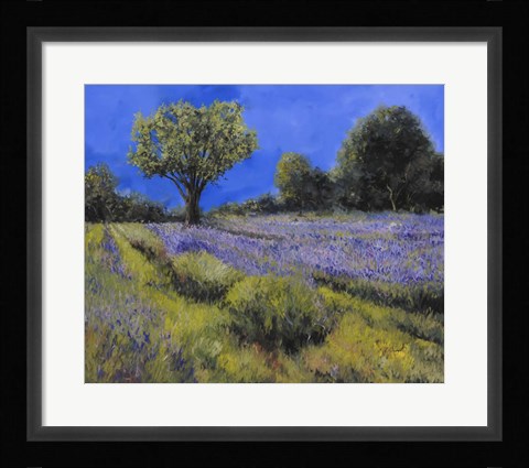 Framed Il Campo Di Lavanda Print