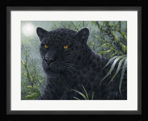 Framed Black Beauty Print
