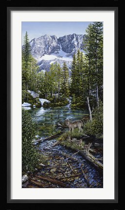 Framed Wilderness Family Print