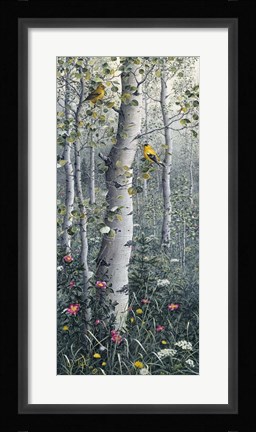 Framed American Goldfinch Print